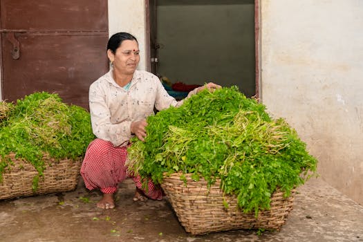 Farmers in India