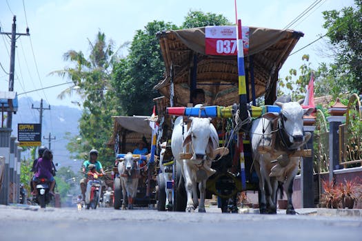 Enchanting Bali: Essential Travel Tips